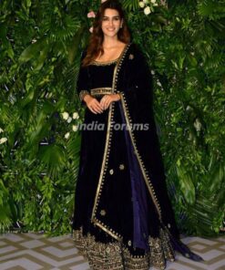 Heavy Embroidered Velvet Handwork Anarkali Gown