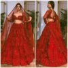 Sequence Embroidered Butterfly Net Lehenga Choli